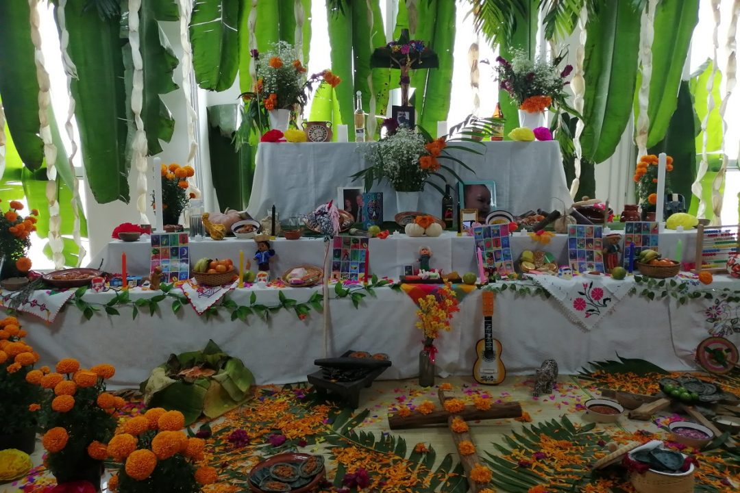 6 lugar a